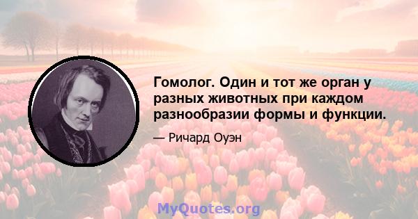 Гомолог. Один и тот же орган у разных животных при каждом разнообразии формы и функции.