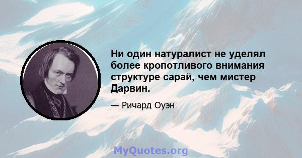 Ни один натуралист не уделял более кропотливого внимания структуре сарай, чем мистер Дарвин.