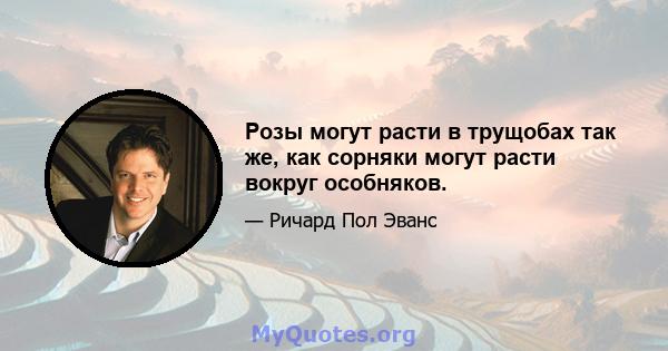 Розы могут расти в трущобах так же, как сорняки могут расти вокруг особняков.