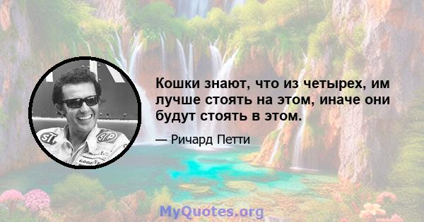 Кошки знают, что из четырех, им лучше стоять на этом, иначе они будут стоять в этом.