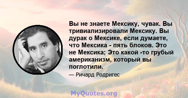 Вы не знаете Мексику, чувак. Вы тривиализировали Мексику. Вы дурак о Мексике, если думаете, что Мексика - пять блоков. Это не Мексика; Это какой -то грубый американизм, который вы поглотили.