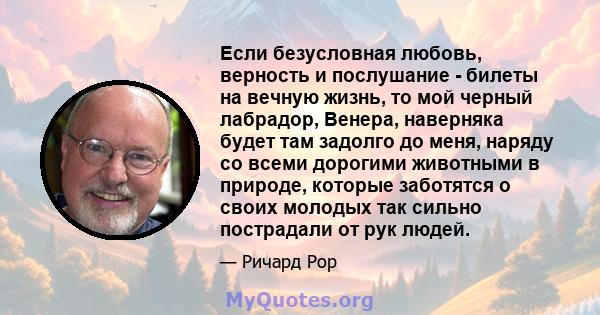 Если безусловная любовь, верность и послушание - билеты на вечную жизнь, то мой черный лабрадор, Венера, наверняка будет там задолго до меня, наряду со всеми дорогими животными в природе, которые заботятся о своих