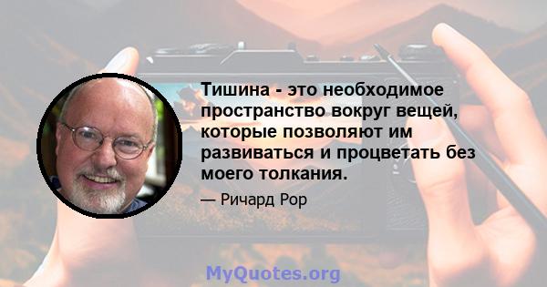 Тишина - это необходимое пространство вокруг вещей, которые позволяют им развиваться и процветать без моего толкания.