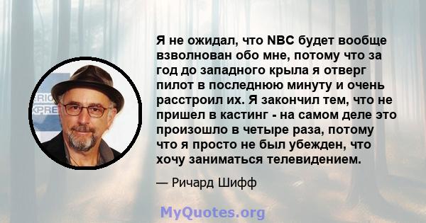 Я не ожидал, что NBC будет вообще взволнован обо мне, потому что за год до западного крыла я отверг пилот в последнюю минуту и ​​очень расстроил их. Я закончил тем, что не пришел в кастинг - на самом деле это произошло