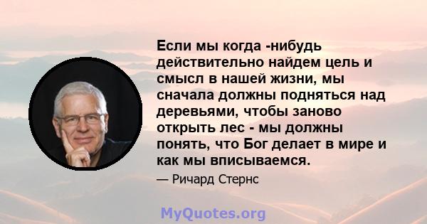 Если мы когда -нибудь действительно найдем цель и смысл в нашей жизни, мы сначала должны подняться над деревьями, чтобы заново открыть лес - мы должны понять, что Бог делает в мире и как мы вписываемся.