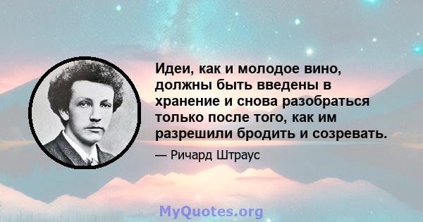 Идеи, как и молодое вино, должны быть введены в хранение и снова разобраться только после того, как им разрешили бродить и созревать.