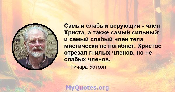 Самый слабый верующий - член Христа, а также самый сильный; и самый слабый член тела мистически не погибнет. Христос отрезал гнилых членов, но не слабых членов.