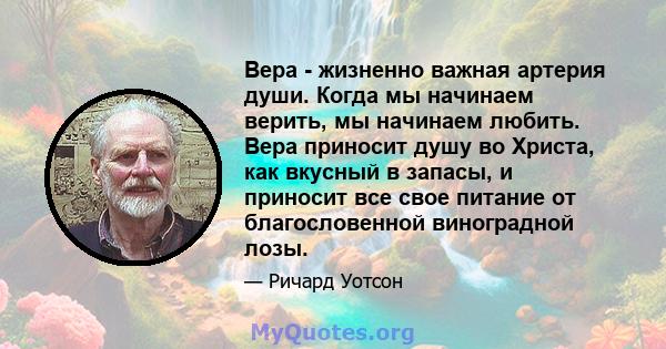 Вера - жизненно важная артерия души. Когда мы начинаем верить, мы начинаем любить. Вера приносит душу во Христа, как вкусный в запасы, и приносит все свое питание от благословенной виноградной лозы.