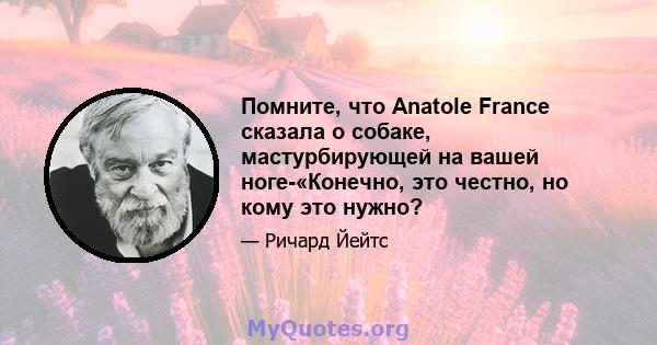 Помните, что Anatole France сказала о собаке, мастурбирующей на вашей ноге-«Конечно, это честно, но кому это нужно?