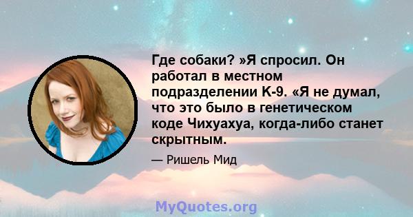 Где собаки? »Я спросил. Он работал в местном подразделении K-9. «Я не думал, что это было в генетическом коде Чихуахуа, когда-либо станет скрытным.