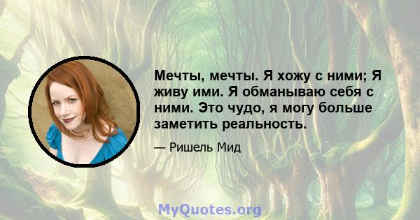 Мечты, мечты. Я хожу с ними; Я живу ими. Я обманываю себя с ними. Это чудо, я могу больше заметить реальность.