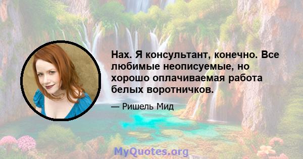 Нах. Я консультант, конечно. Все любимые неописуемые, но хорошо оплачиваемая работа белых воротничков.