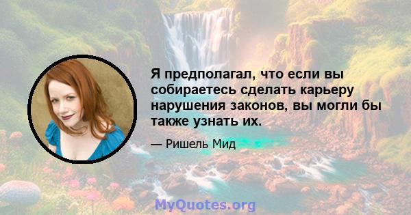 Я предполагал, что если вы собираетесь сделать карьеру нарушения законов, вы могли бы также узнать их.