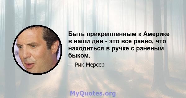 Быть прикрепленным к Америке в наши дни - это все равно, что находиться в ручке с раненым быком.