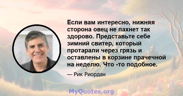 Если вам интересно, нижняя сторона овец не пахнет так здорово. Представьте себе зимний свитер, который протарали через грязь и оставлены в корзине прачечной на неделю. Что -то подобное.