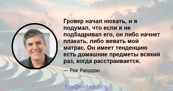 Гровер начал нюхать, и я подумал, что если я не подбадривал его, он либо начнет плакать, либо жевать мой матрас. Он имеет тенденцию есть домашние предметы всякий раз, когда расстраивается.