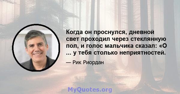 Когда он проснулся, дневной свет проходил через стеклянную пол, и голос мальчика сказал: «О ... у тебя столько неприятностей.