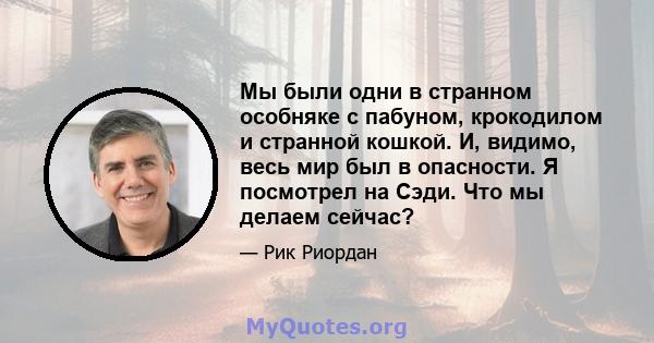 Мы были одни в странном особняке с пабуном, крокодилом и странной кошкой. И, видимо, весь мир был в опасности. Я посмотрел на Сэди. Что мы делаем сейчас?