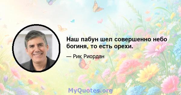 Наш пабун шел совершенно небо богиня, то есть орехи.