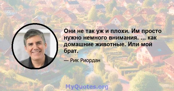 Они не так уж и плохи. Им просто нужно немного внимания. ... как домашние животные. Или мой брат.