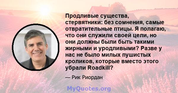 Продливые существа, стервятники: без сомнения, самые отвратительные птицы. Я полагаю, что они служили своей цели, но они должны были быть такими жирными и уродливыми? Разве у нас не было милых пушистых кроликов, которые 