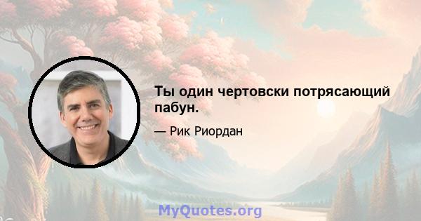 Ты один чертовски потрясающий пабун.