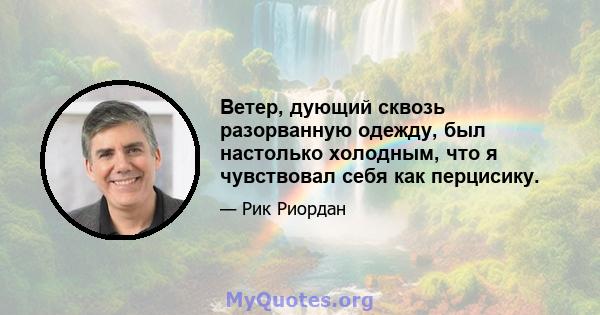 Ветер, дующий сквозь разорванную одежду, был настолько холодным, что я чувствовал себя как перцисику.