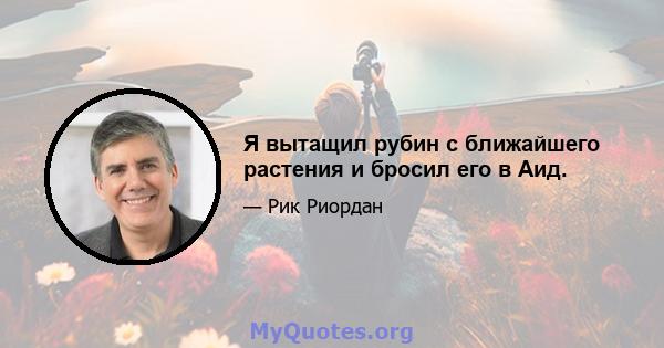 Я вытащил рубин с ближайшего растения и бросил его в Аид.