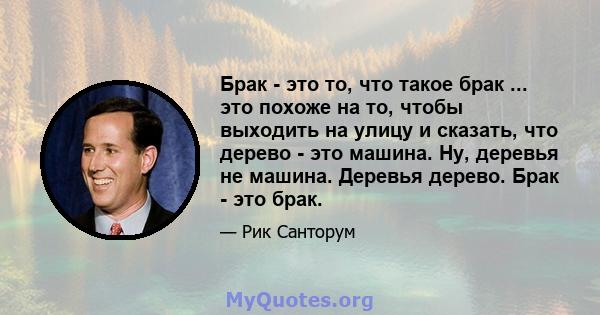 Брак - это то, что такое брак ... это похоже на то, чтобы выходить на улицу и сказать, что дерево - это машина. Ну, деревья не машина. Деревья дерево. Брак - это брак.