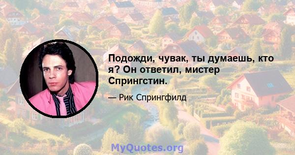 Подожди, чувак, ты думаешь, кто я? Он ответил, мистер Спрингстин.