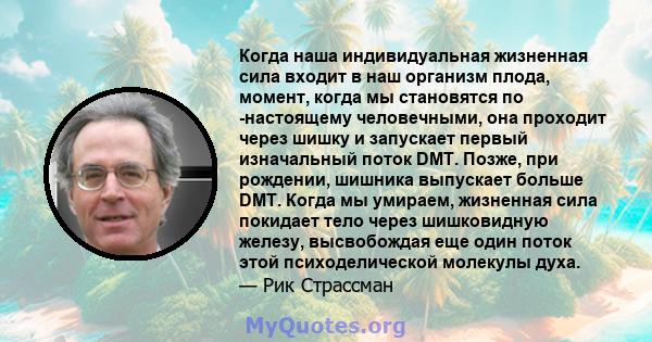 Когда наша индивидуальная жизненная сила входит в наш организм плода, момент, когда мы становятся по -настоящему человечными, она проходит через шишку и запускает первый изначальный поток DMT. Позже, при рождении,