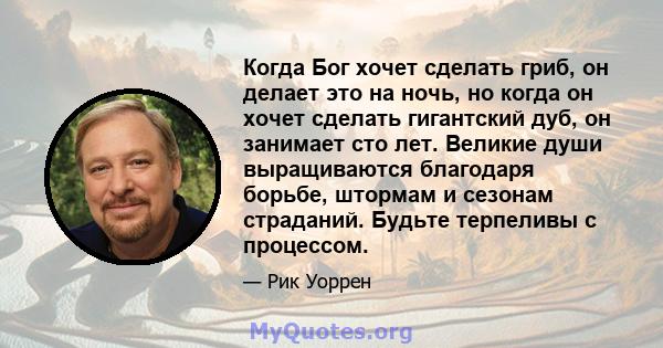 Когда Бог хочет сделать гриб, он делает это на ночь, но когда он хочет сделать гигантский дуб, он занимает сто лет. Великие души выращиваются благодаря борьбе, штормам и сезонам страданий. Будьте терпеливы с процессом.