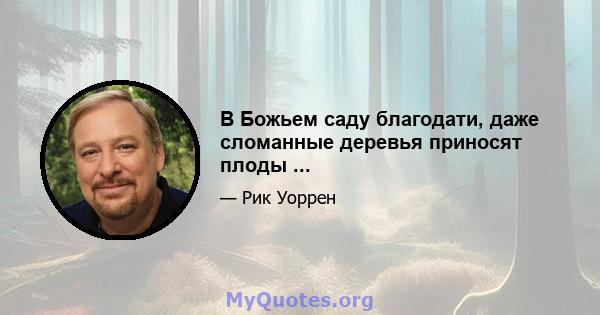 В Божьем саду благодати, даже сломанные деревья приносят плоды ...