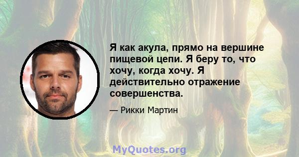 Я как акула, прямо на вершине пищевой цепи. Я беру то, что хочу, когда хочу. Я действительно отражение совершенства.