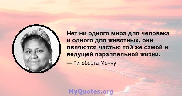 Нет ни одного мира для человека и одного для животных, они являются частью той же самой и ведущей параллельной жизни.