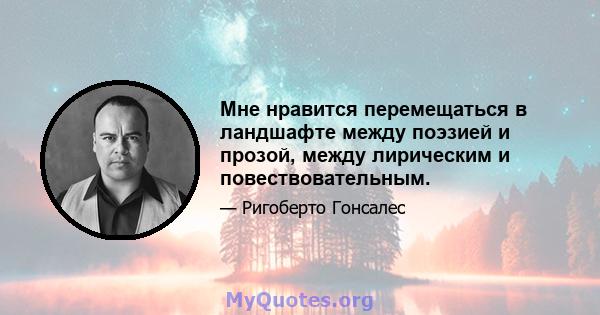 Мне нравится перемещаться в ландшафте между поэзией и прозой, между лирическим и повествовательным.