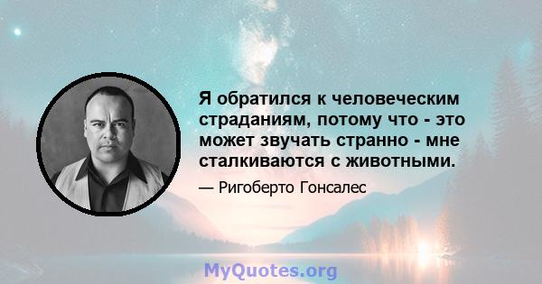 Я обратился к человеческим страданиям, потому что - это может звучать странно - мне сталкиваются с животными.