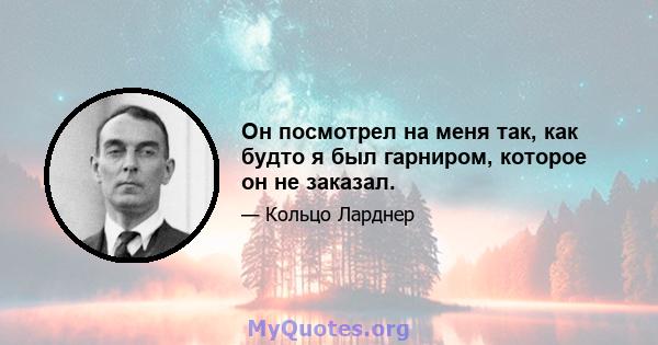 Он посмотрел на меня так, как будто я был гарниром, которое он не заказал.