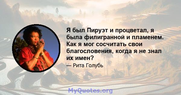 Я был Пируэт и процветал, я была филигранной и пламенем. Как я мог сосчитать свои благословения, когда я не знал их имен?