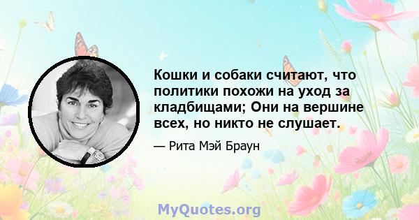 Кошки и собаки считают, что политики похожи на уход за кладбищами; Они на вершине всех, но никто не слушает.