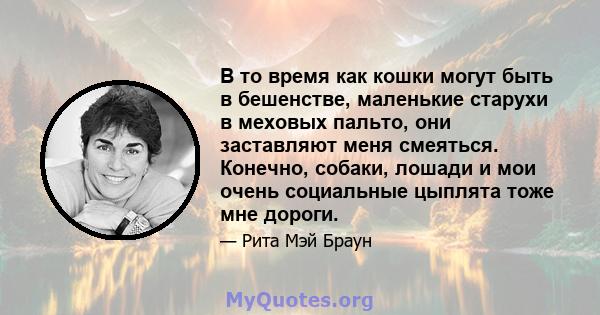 В то время как кошки могут быть в бешенстве, маленькие старухи в меховых пальто, они заставляют меня смеяться. Конечно, собаки, лошади и мои очень социальные цыплята тоже мне дороги.