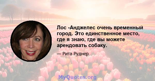 Лос -Анджелес очень временный город. Это единственное место, где я знаю, где вы можете арендовать собаку.