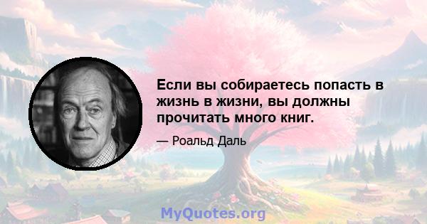 Если вы собираетесь попасть в жизнь в жизни, вы должны прочитать много книг.