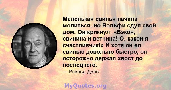 Маленькая свинья начала молиться, но Вольфи сдул свой дом. Он крикнул: «Бэкон, свинина и ветчина! О, какой я счастливчик!» И хотя он ел свинью довольно быстро, он осторожно держал хвост до последнего.