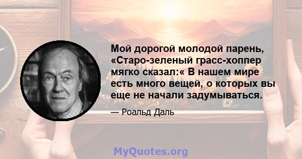 Мой дорогой молодой парень, «Старо-зеленый грасс-хоппер мягко сказал:« В нашем мире есть много вещей, о которых вы еще не начали задумываться.