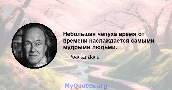 Небольшая чепуха время от времени наслаждается самыми мудрыми людьми.