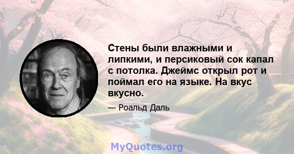 Стены были влажными и липкими, и персиковый сок капал с потолка. Джеймс открыл рот и поймал его на языке. На вкус вкусно.