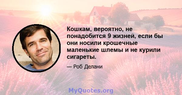 Кошкам, вероятно, не понадобится 9 жизней, если бы они носили крошечные маленькие шлемы и не курили сигареты.