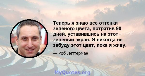 Теперь я знаю все оттенки зеленого цвета, потратив 90 дней, уставившись на этот зеленый экран. Я никогда не забуду этот цвет, пока я живу.