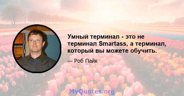 Умный терминал - это не терминал Smartass, а терминал, который вы можете обучить.